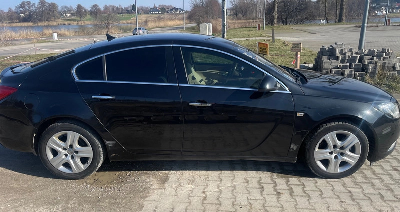 Opel Insignia cena 16900 przebieg: 305000, rok produkcji 2010 z Ryki małe 56